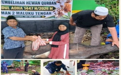 Semarak Idul Adha 1447 H, MAN 2 Maluku Tengah Salurkan 2 Ekor Hewan Kurban: 